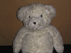 しろくま　洗浄前