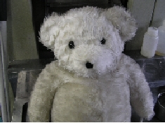 前処理開始　顔美白中